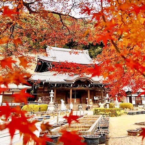 歴史大好きじいさんのアバター